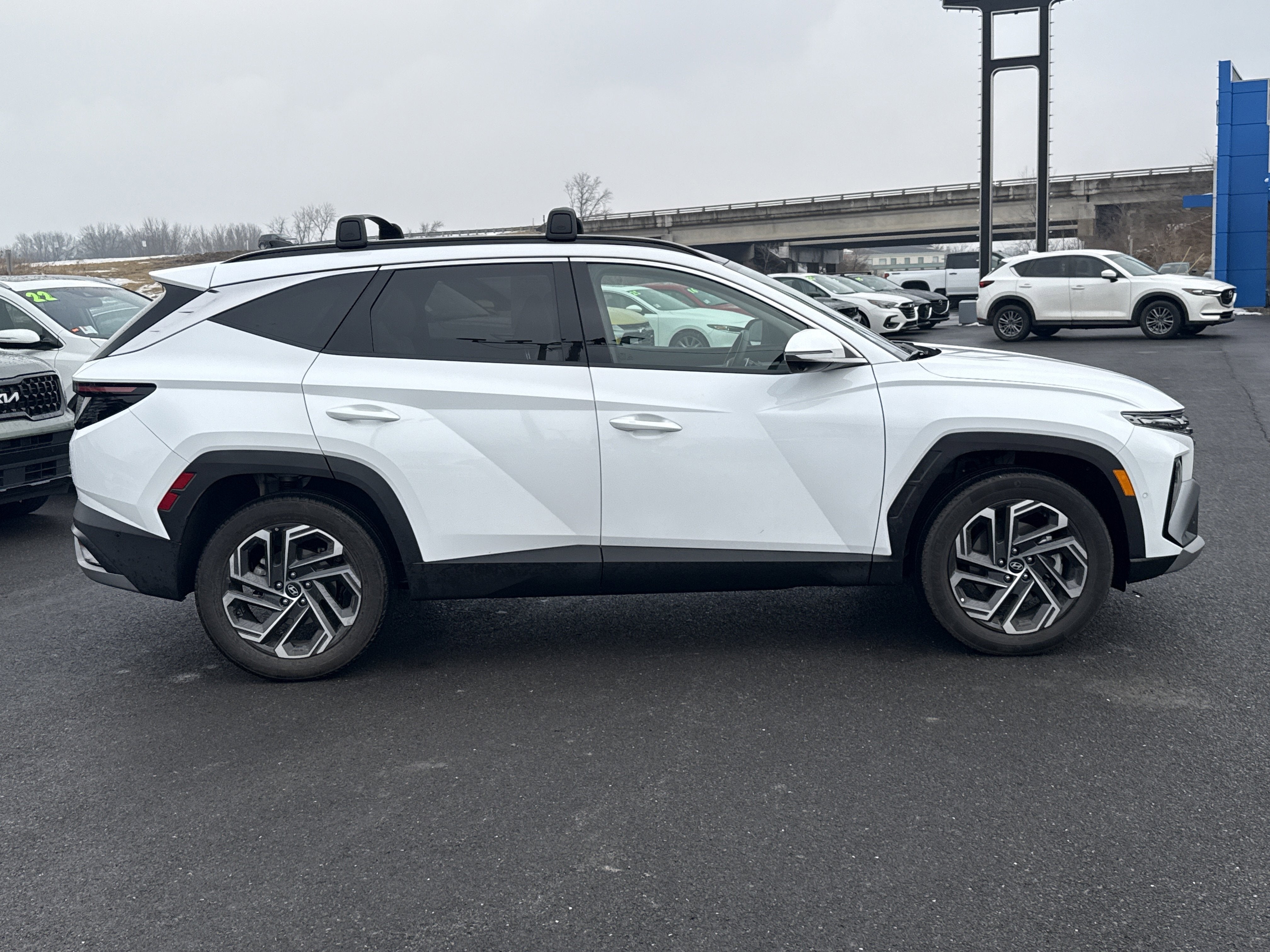 2025 Hyundai Tucson Hybrid Limited