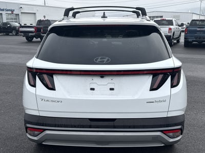 2025 Hyundai Tucson Hybrid Limited
