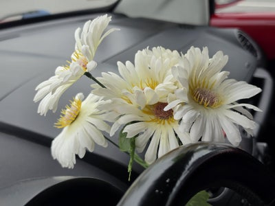 2009 Volkswagen New Beetle Convertible S