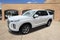 2020 Hyundai Palisade SE