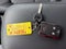 2022 Chevrolet Colorado Crew Cab Short Box 4-Wheel Drive Z71