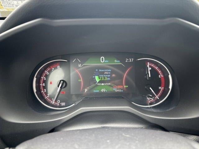 2025 Toyota RAV4 XLE AWD (Natl)