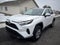 2023 Toyota RAV4 XLE AWD (Natl)