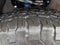2025 Toyota Tacoma 4WD 4WD TRD Off Road Double Cab 5' Bed AT (Natl)