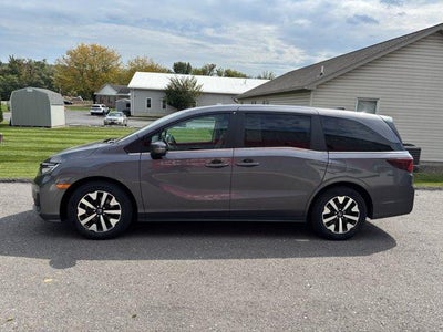2025 Honda Odyssey EX-L Auto