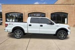 2014 Ford F-150 4WD SuperCrew 5-1/2 Ft Box STX