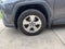 2019 Toyota RAV4 XLE AWD (Natl)