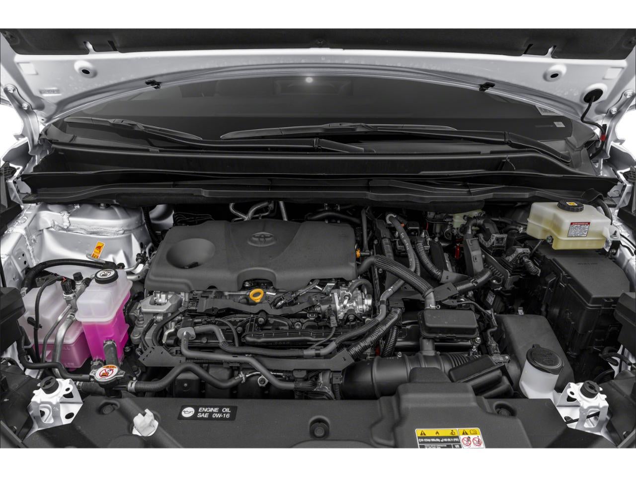 2025 Toyota Sienna LE FWD 8-Passenger (Natl)