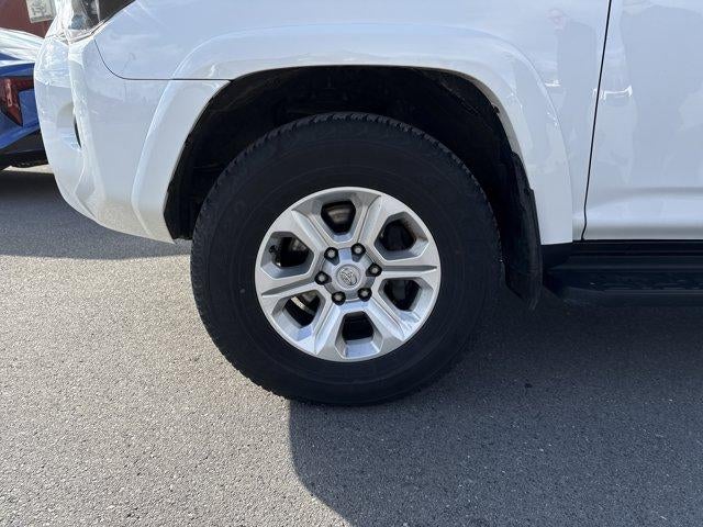 2024 Toyota 4Runner SR5 Premium 4WD (Natl)