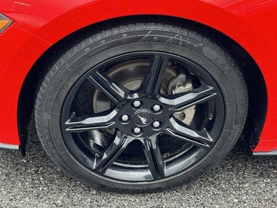 2019 Ford Mustang EcoBoost Fastback