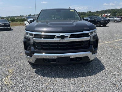 2024 Chevrolet Silverado 1500 Crew Cab Short Box 4-Wheel Drive LT 1LT