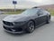 2024 Ford Mustang Dark Horse Fastback