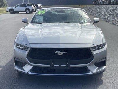 2025 Ford Mustang EcoBoost Premium Convertible