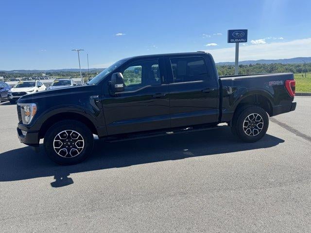 2023 Ford F-150 XLT 4WD SuperCrew 5.5' Box