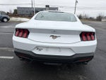 2026 Ford Mustang EcoBoost Fastback