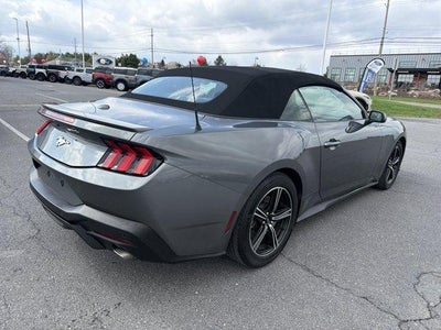 2025 Ford Mustang EcoBoost Premium Convertible