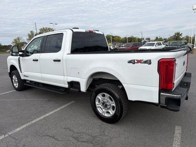 2025 Ford Super Duty F-250 SRW XLT 4WD Crew Cab 6.75' Box