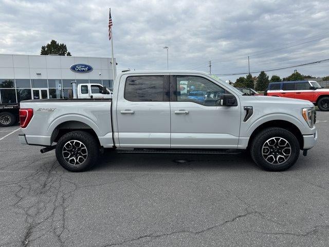 2023 Ford F-150 XLT 4WD SuperCrew 5.5' Box