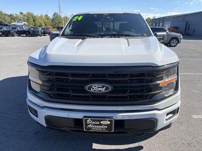 2024 Ford F-150 XLT 4WD SuperCrew 5.5' Box