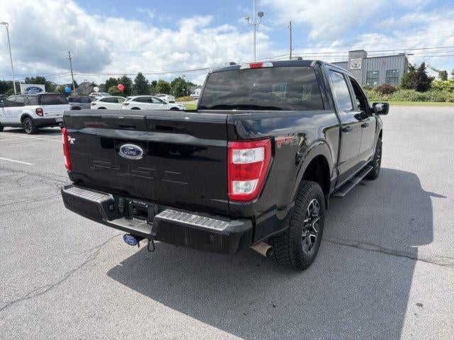 2023 Ford F-150 XL 4WD SuperCrew 5.5' Box