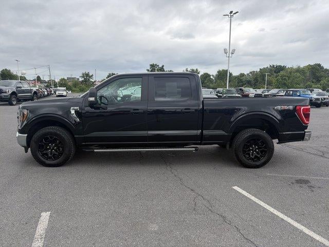 2023 Ford F-150 XLT 4WD SuperCrew 5.5' Box
