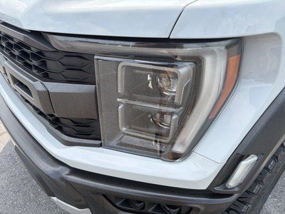2023 Ford F-150 Raptor 4WD SuperCrew 5.5' Box