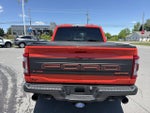 2023 Ford F-150 Raptor 4WD SuperCrew 5.5' Box