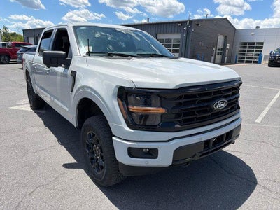 2024 Ford F-150 XLT 4WD SuperCrew 5.5' Box