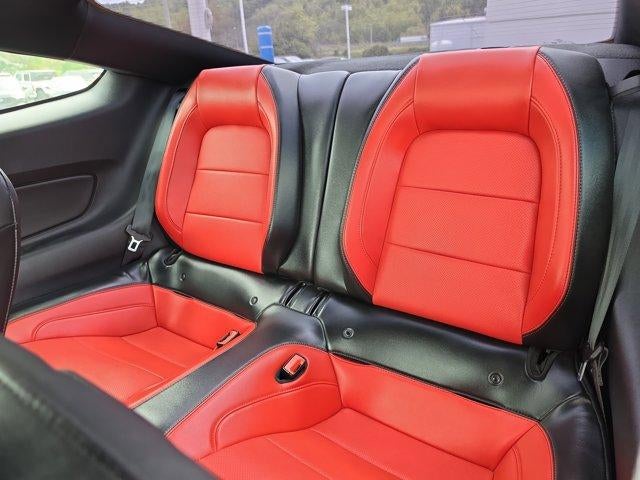 2019 Ford Mustang GT Premium Fastback