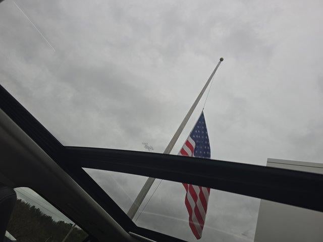 2025 Ford Expedition Max Platinum 4x4