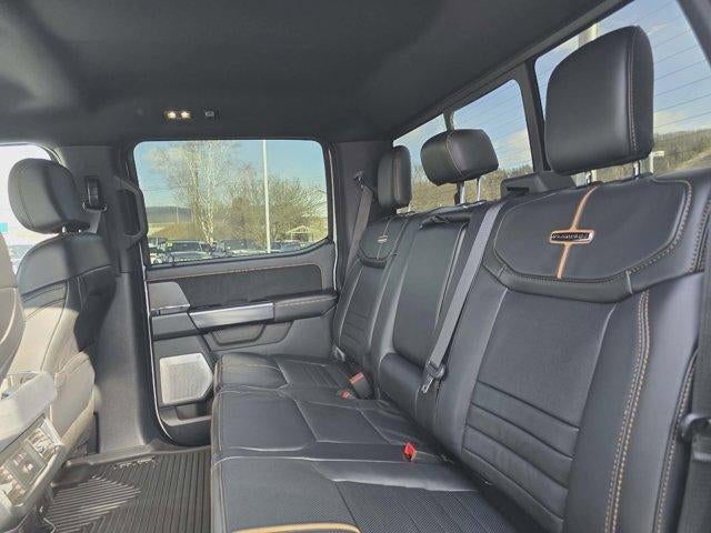 2024 Ford Super Duty F-250 SRW Platinum 4WD Crew Cab 6.75' Box