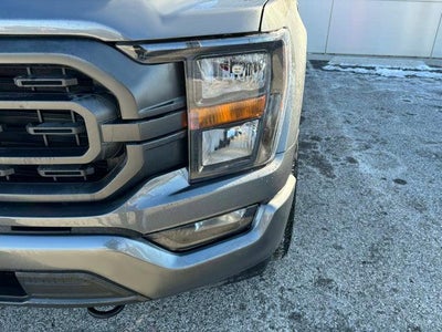2023 Ford F-150 XLT 4WD SuperCrew 5.5' Box